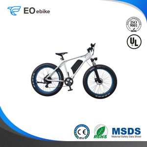 Rear Wheel Drive Motor 26x4.0 Fat Tire LCD Display EB61A Electric Mountain Bike